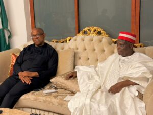 NDC ta keɓe Obi da Kwankwaso daga rantsuwar hana sauya sheƙa