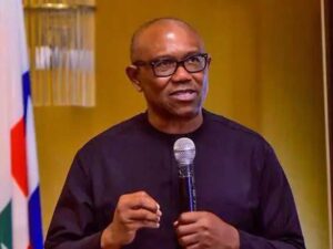 Ba zan zama kamar Buhari ba, zan kasance mai cikakken iko idan na zama Shugaban ƙasa – Peter Obi