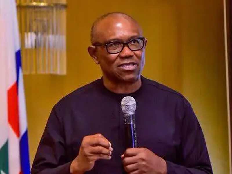 Ba zan zama kamar Buhari ba, zan kasance mai cikakken iko idan na zama Shugaban ƙasa – Peter Obi
